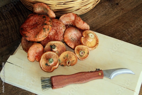 Bodegón de Lactarius deliciosus, comúnmente conocido como niscalo, gorro de leche de azafrán y seta de pino rojo. Se recolecta ampliamente en la Península Ibérica y se utiliza en la cocina española. photo