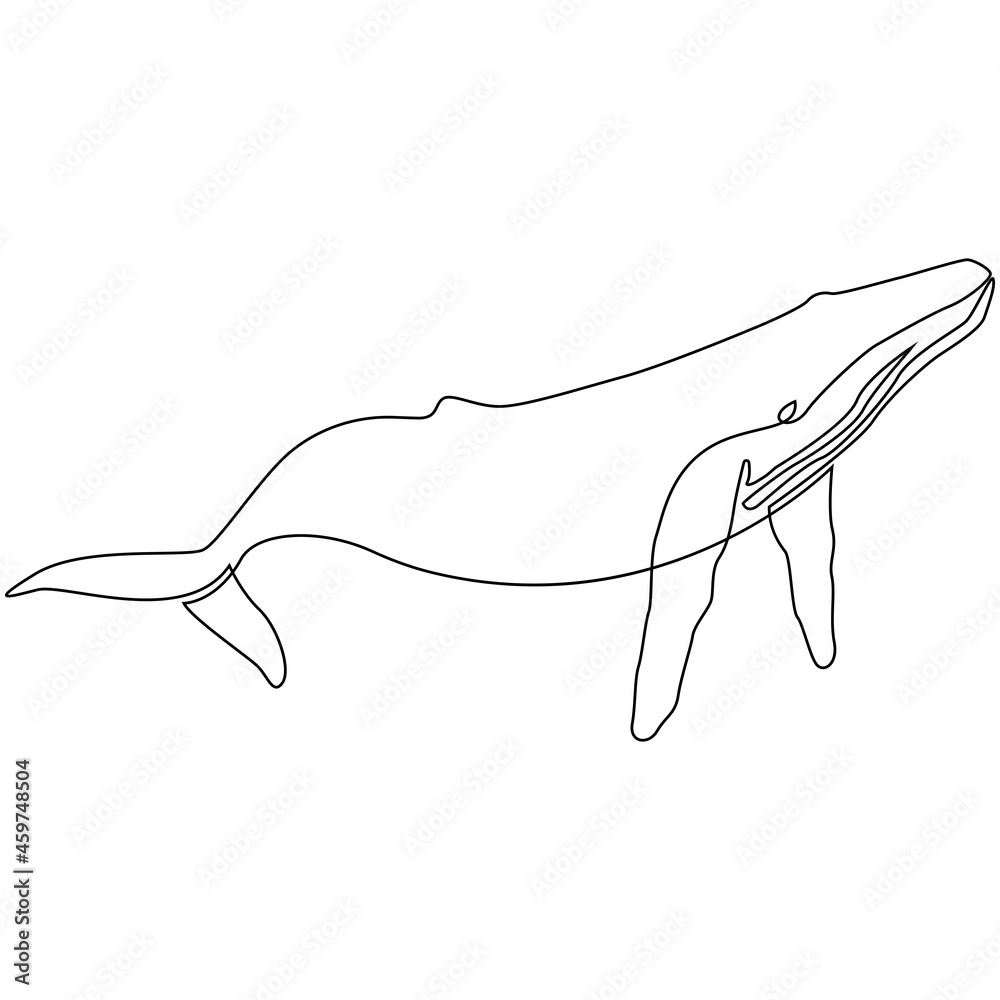 One line whale design silhouette. Hand drawn minimalism style vector illustration One line whale design silhouette. Hand drawn minimalism style vector illustration