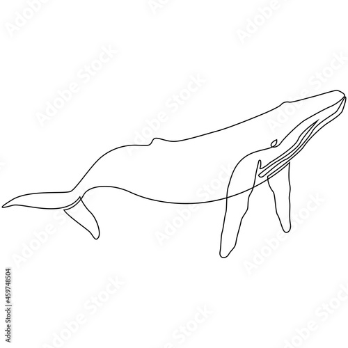 One line whale design silhouette. Hand drawn minimalism style vector illustration