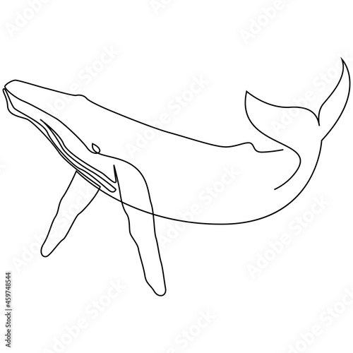 One line whale design silhouette. Hand drawn minimalism style vector illustration