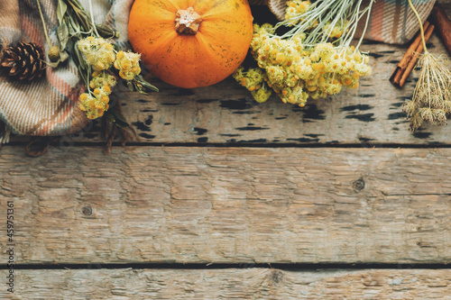 Thanksgiving flat lay. Stylish pumpkin  autumn flowers  herbs and cozy blanket on rustic old wooden background. Rural fall layout border with space for text. Happy Thanksgiving and Halloween