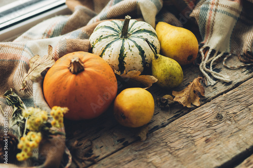 Happy Thanksgiving. Stylish pumpkins, autumn leaves, flowers, pears and cozy blanket on rustic old wooden background. Rural fall composition with space for text. Halloween