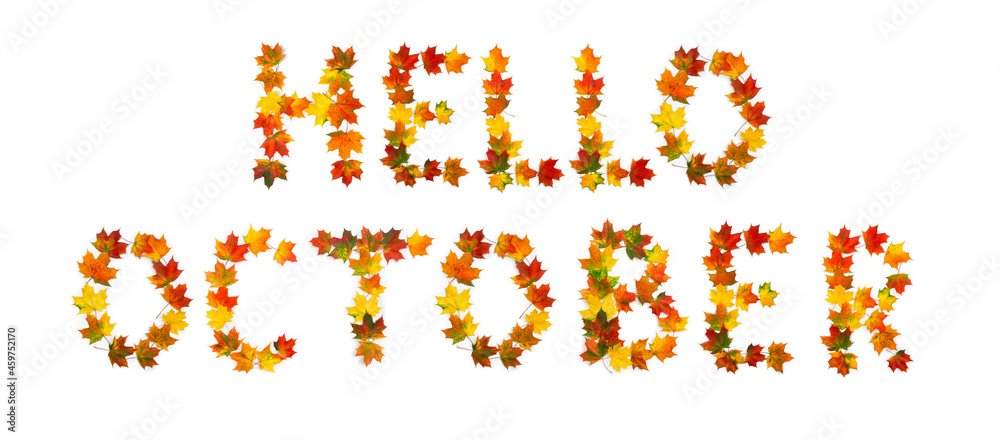 Hello october lettering text from of colorful autumnal maple leaves on white background. Top view, flat lay Hello october lettering text from of colorful autumnal maple leaves on white background. Top view, flat lay