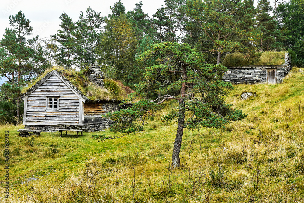 old Norwegian houses, grass and moss on the roof old Norwegian houses, grass and moss on the roof