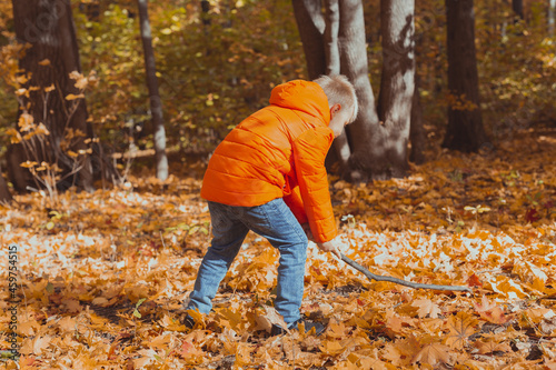 Little boy play with stick and fallen leaves in forest on autumn day. Fall season, childhood and outdoor games concept.