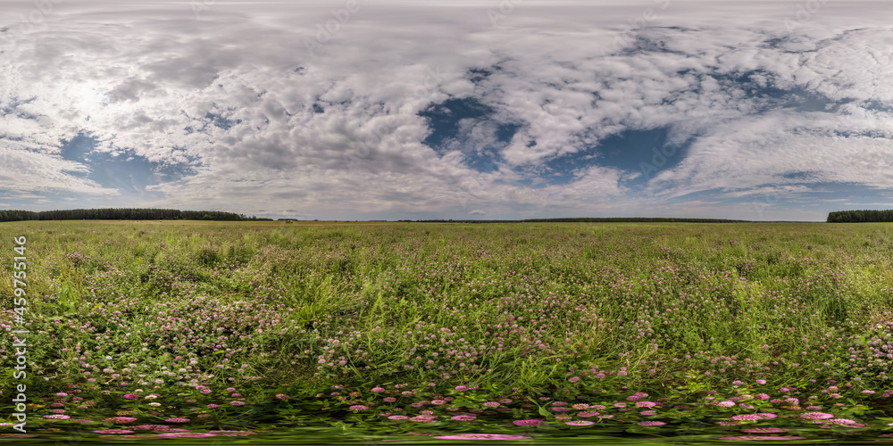 Obraz premium 360 seamless hdri panorama view among field of pink clover in summer day with cloudy sky in equirectangular spherical projection, ready AR VR virtual reality content