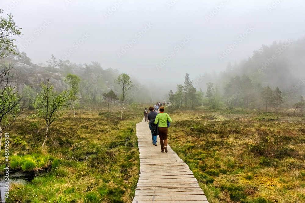 Obraz premium A Short Easy Footpath to Preikestolen, Lysefjord - Norway -