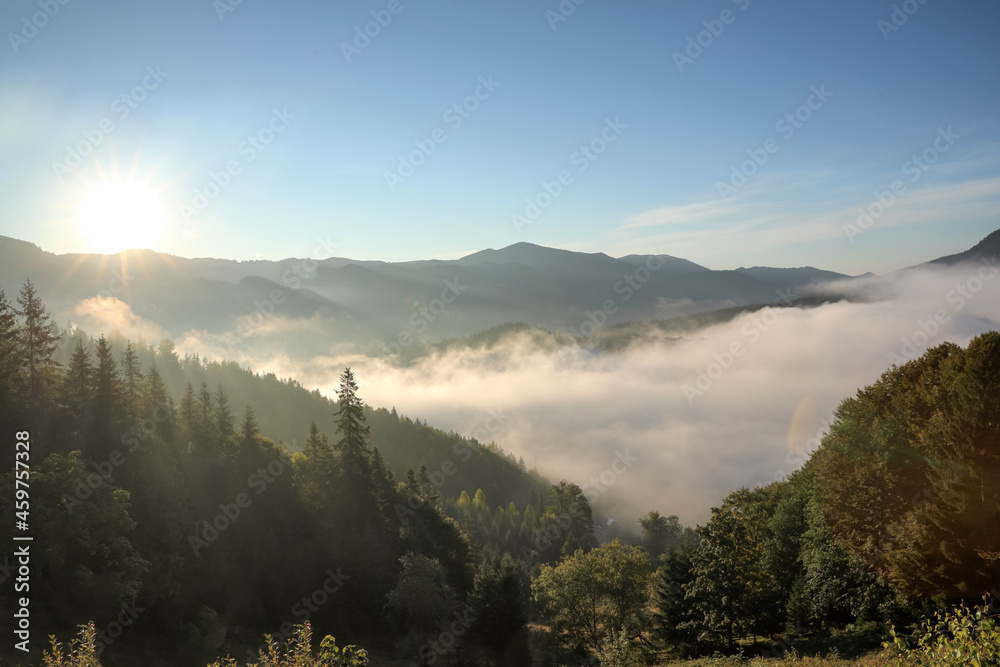 Beautiful view of mountains covered with fog at sunrise