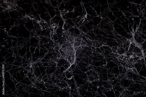 abstract black background mold macro photography. Neural network