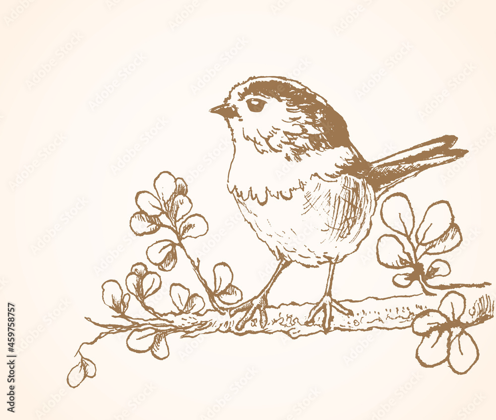 Little bird sitting on twig hand drawn sketch vector illustration