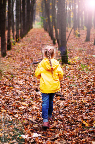 Autumn. Golden autumn in the forest. Girl in the autumn forest. © tatyana20