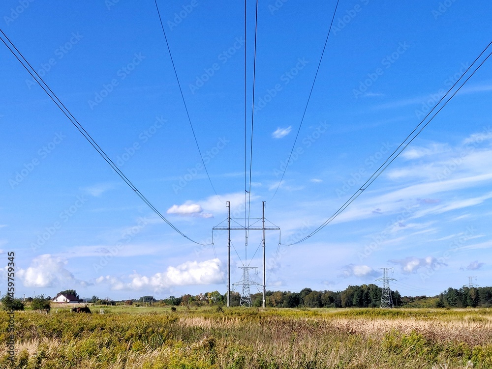 power lines on the field. electricity. power transmission towers