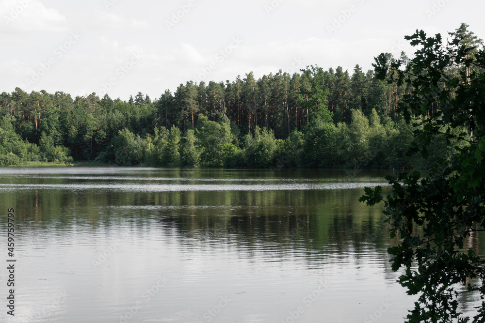 New pond in Stříbřec, South Bohemia