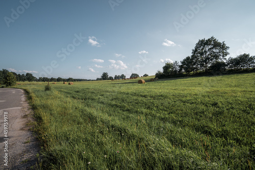 Field in Stříbřec village, South Bohemia