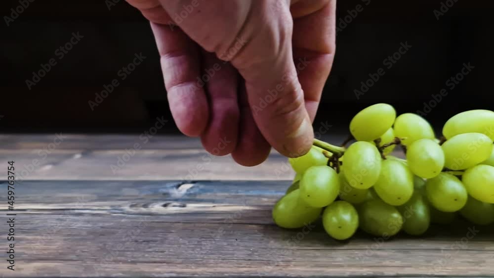 The Natural fresh green grapes close-up. Bunch of grapes. The Natural fresh green grapes close-up. Bunch of grapes.