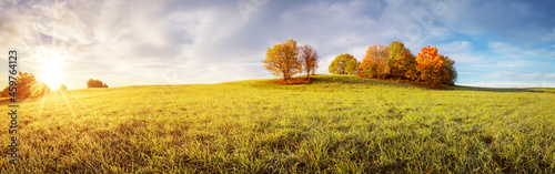 Panoramic view of the autumnal field on the sunny morning.