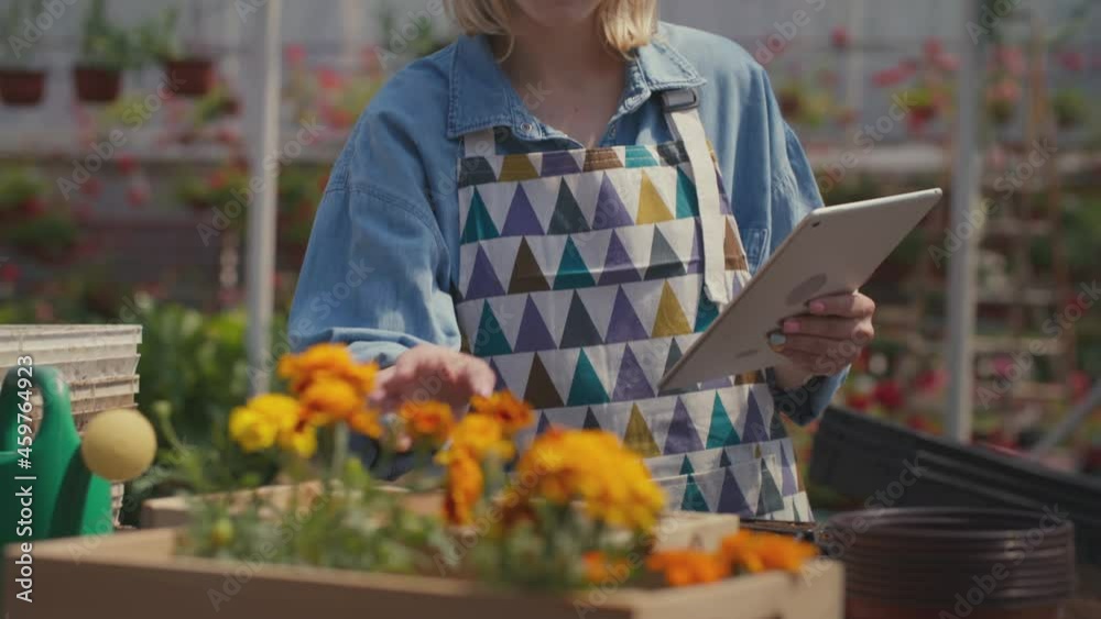 Female florist using tablet while looking at flowers Female florist using tablet while looking at flowers