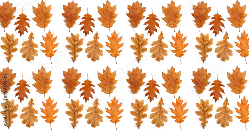 Beautiful autumn background