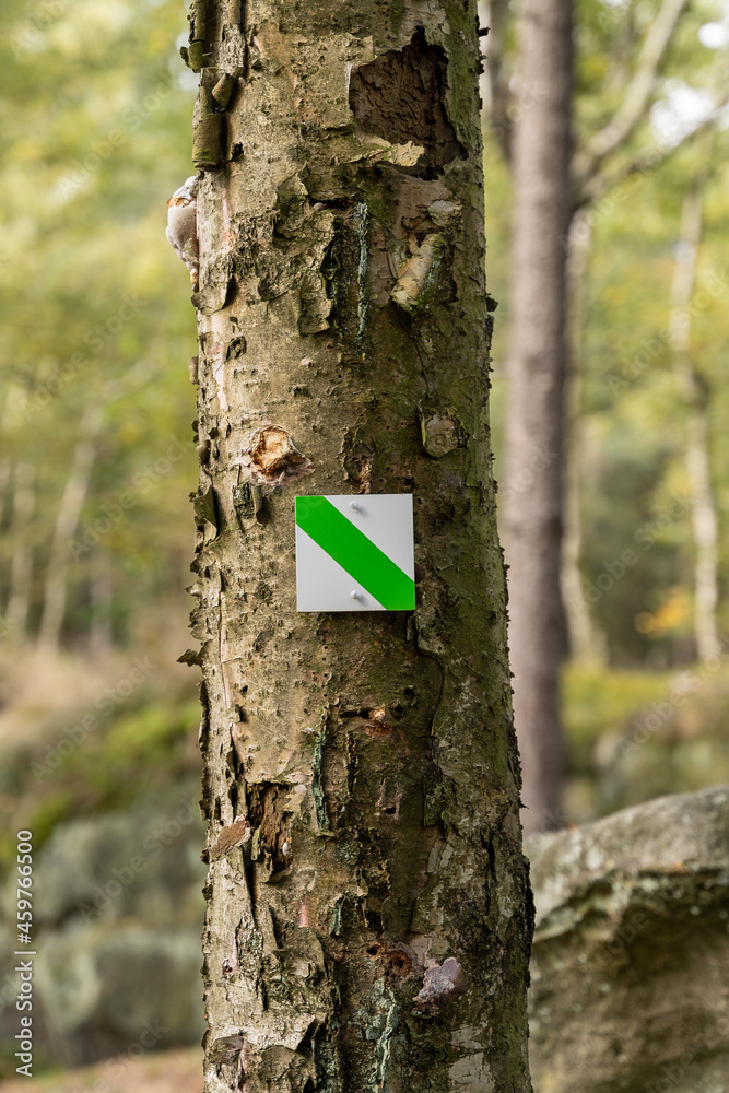 Naklejka premium Wegweiser an einem Baum