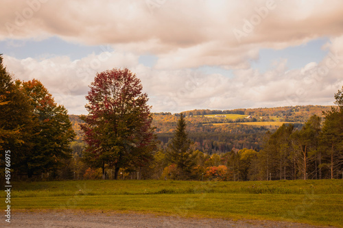 Fototapeta Naklejka Na Ścianę i Meble -  Outside in fall autumn in Vermont