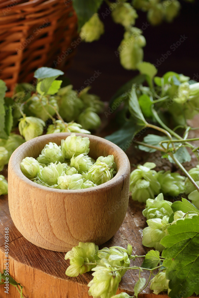 Hops flowers in a wooden bowl on rustic background, natural material for brewery production and sourdough bread making, closeup, natural medicine and naturopathy concept Hops flowers in a wooden bowl on rustic background, natural material for brewery production and sourdough bread making, closeup, natural medicine and naturopathy concept