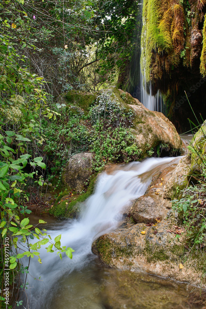 waterfall in the forest