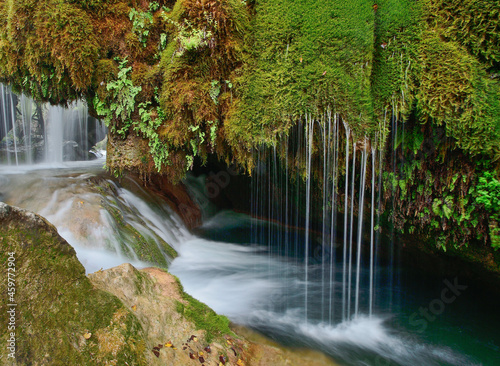 waterfall in the forest