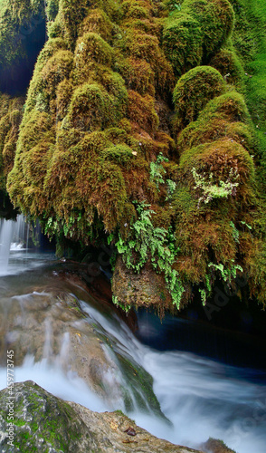 waterfall in the forest