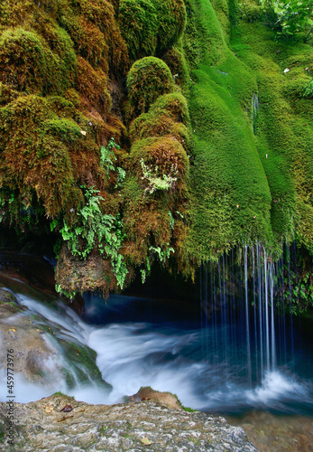 waterfall in the forest