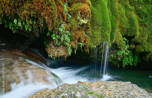 waterfall in the forest
