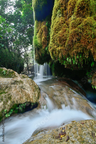 waterfall in the forest