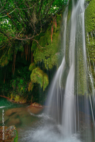 waterfall in the forest