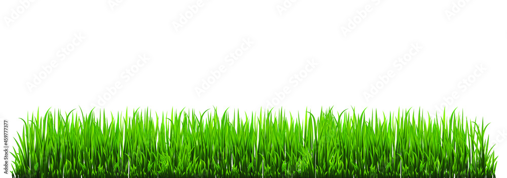 Green grass set. Fresh herb: natural, organic, bio, eco label and shape isolated on white background. Vector illustration. Green grass set. Fresh herb: natural, organic, bio, eco label and shape isolated on white background. Vector illustration.