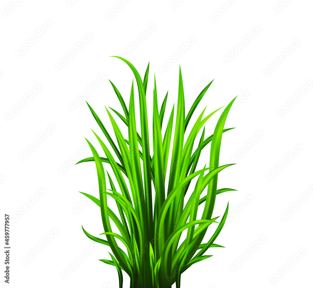 Green grass set. Fresh herb: natural, organic, bio, eco label and shape isolated on white background. Vector illustration. Green grass set. Fresh herb: natural, organic, bio, eco label and shape isolated on white background. Vector illustration.