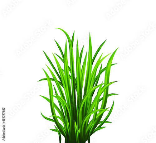 Green grass set. Fresh herb  natural  organic  bio  eco label and shape isolated on white background. Vector illustration.