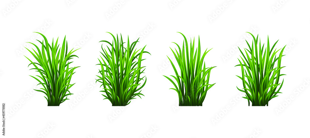 Green grass set. Fresh herb: natural, organic, bio, eco label and shape isolated on white background. Vector illustration. Green grass set. Fresh herb: natural, organic, bio, eco label and shape isolated on white background. Vector illustration.