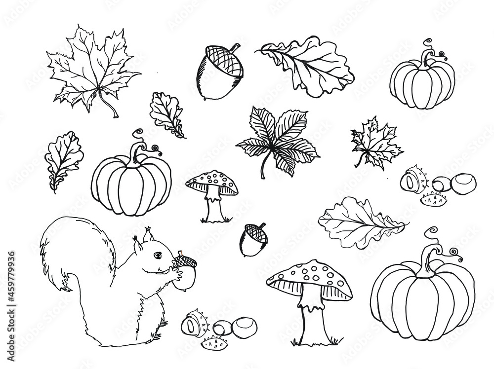 Liście, jesień, ilustracja, projekt, rysunek , szkic  - obrazy, fototapety, plakaty 