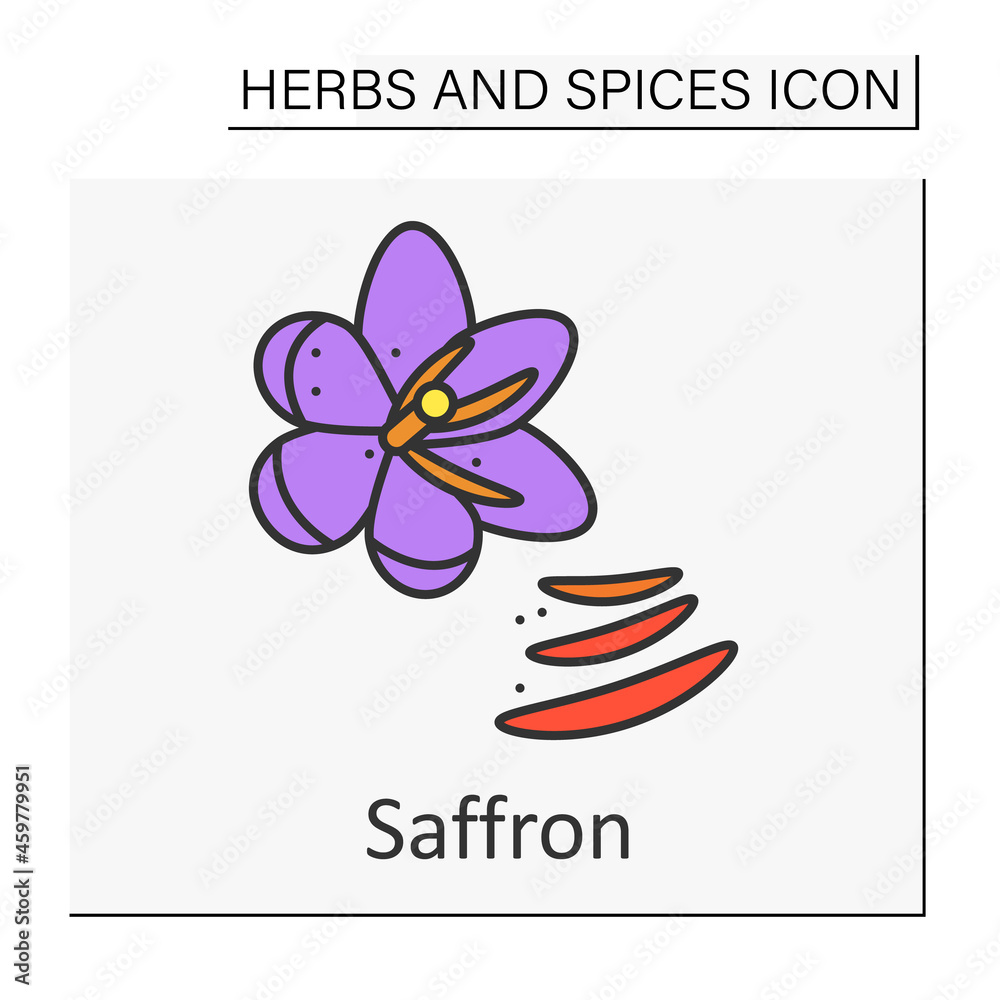Saffron color icon. Aromatic pungent dried stigmas. Flavor foods. Herbs ...