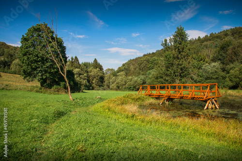 Wooden bridge (platform) located next to lake in Beski Niski - Podkarpacie, Poland. 