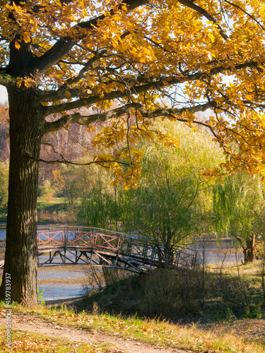 Autumn Leaves in  Falltime Park