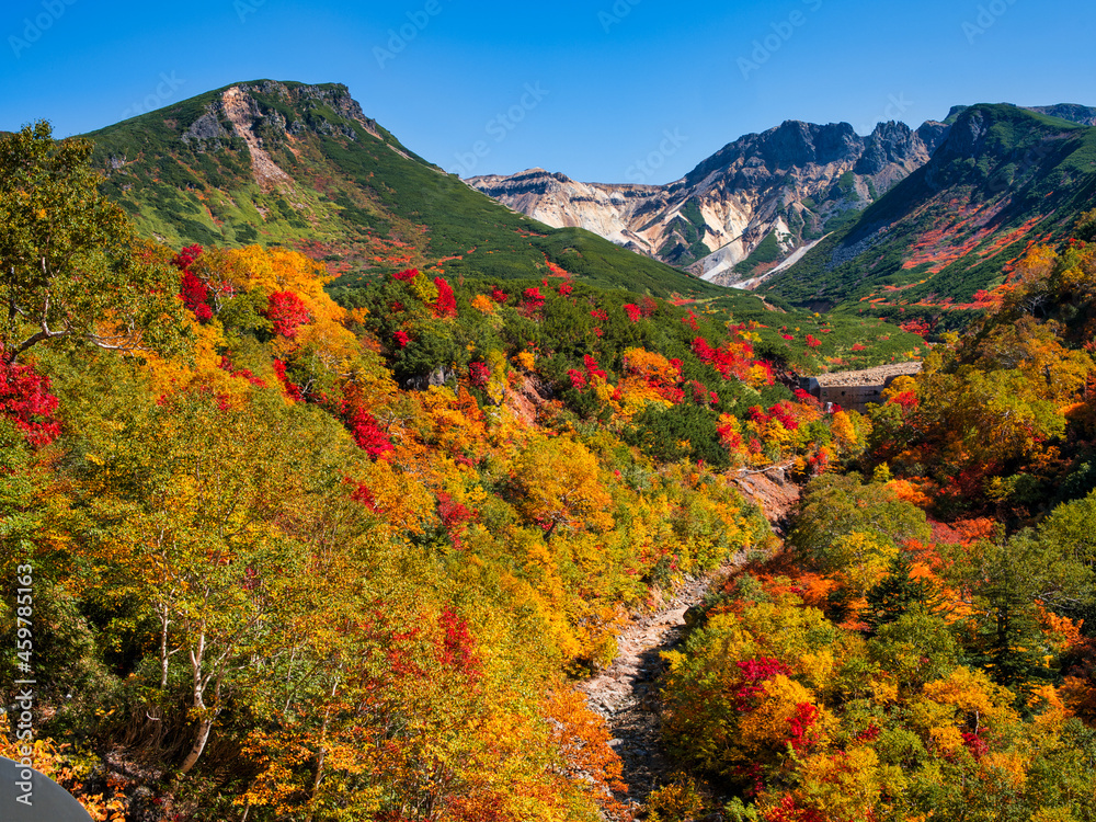十勝岳温泉の紅葉 十勝岳温泉の紅葉