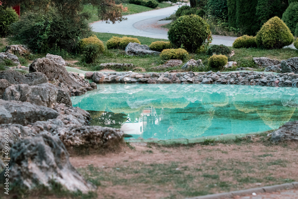 A small pond in a garden with reflections