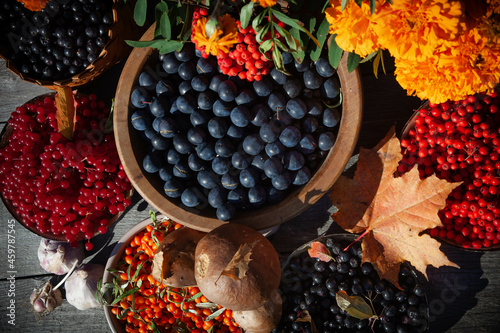 a celebraton of the Harvest Festival in the countryside; A colourful still life with berries, flowers and mushrooms photo