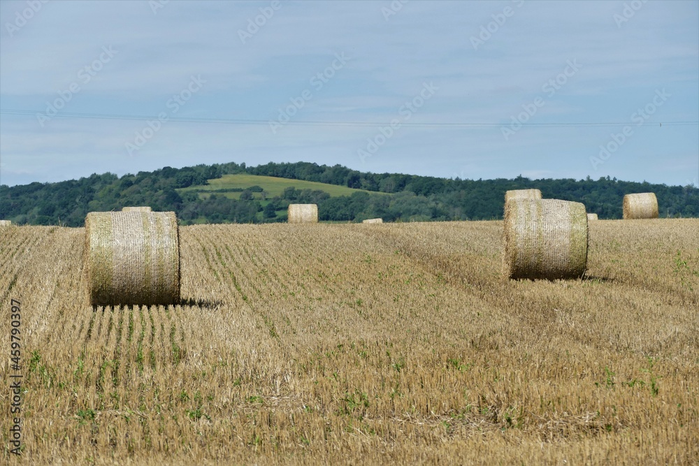 Abgeerntetes Getreidefeld leicht ansteigend mit runden Strohballen und Berg im Hintergrund