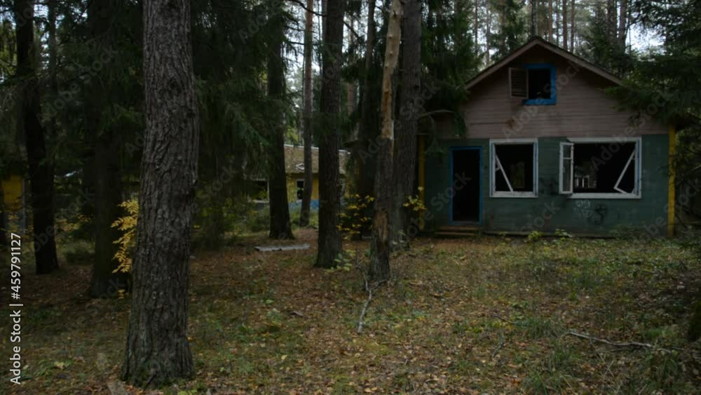 Walk in the woods among abandoned wooden houses, the concept of the apocalypse, the extinction of humanity from viruses Walk in the woods among abandoned wooden houses, the concept of the apocalypse, the extinction of humanity from viruses