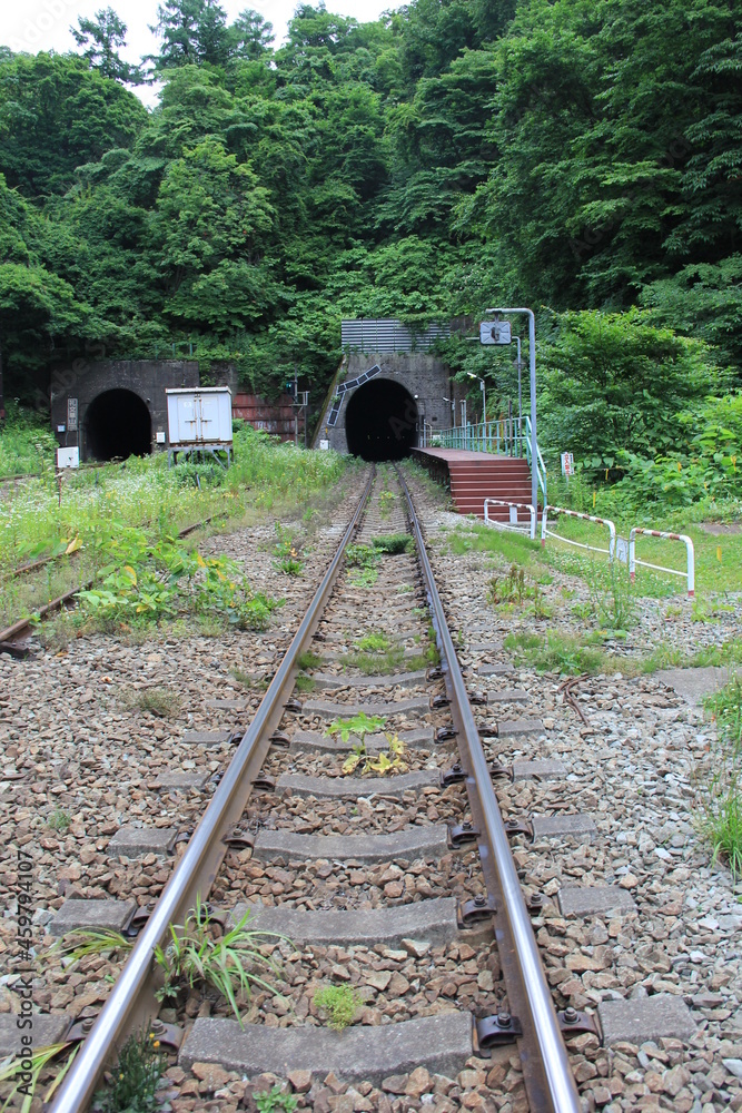 Obraz premium トンネルに続く線路の風景