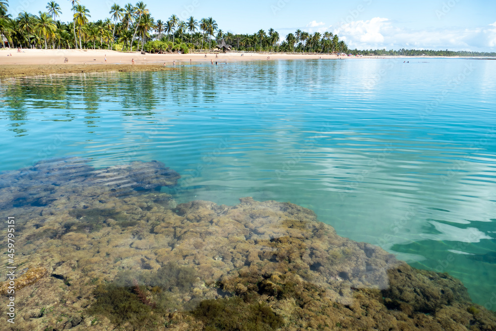 Idyllic beach with crystal clear water in Taipus de Fora, Marau, State of Bahia, Brazil Idyllic beach with crystal clear water in Taipus de Fora, Marau, State of Bahia, Brazil