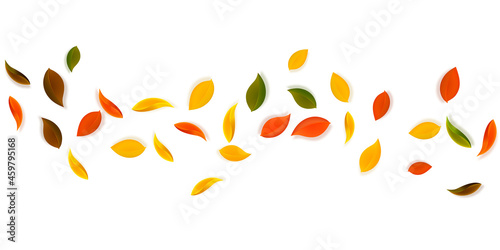 Falling autumn leaves. Red, yellow, green, brown neat leaves flying. Falling rain colorful foliage on terrific sunset background. Captivating back to school sale.