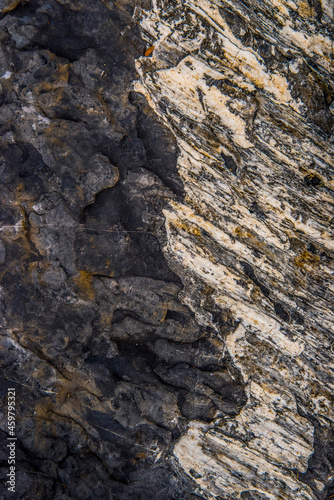 Texture