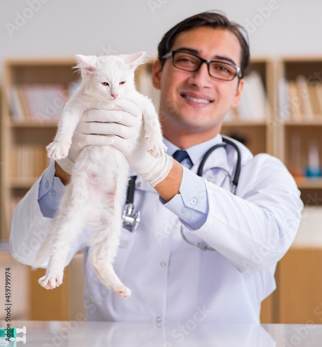 Fototapeta Naklejka Na Ścianę i Meble -  White kitten visiting vet for check up